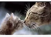 Logo of Precious Paws Rescue