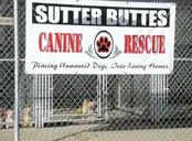 Logo of SUTTER BUTTES CANINE RESCUE