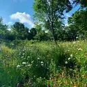 Logo of Houston Parks and Recreation Department