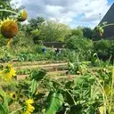 Logo of Oakton Community College Community Garden