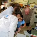 Logo of MAINE SCHOOL SCIENCE VOLUNTEERS