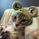 Logo of ARTEMIS ANIMAL RESCUE A NJ NONPROFIT CORPORATION