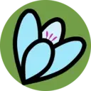 Logo of Shanti Hospice