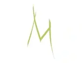 Logo of Malashock Dance