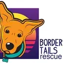 Logo of BORDER TAILS RESCUE