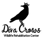 Logo of Diva Crows