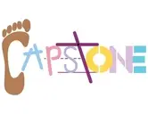 Logo of CAPSTONE118 INC