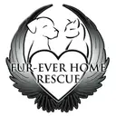 Logo of FUR EVER HOME INC