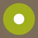 Logo de Des Plaines History Center