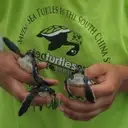 Logo of Sea Turtles 911