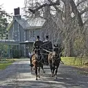Logo de ROCKWOOD PARK PRESERVATION SOCIETY INC