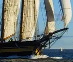 Logo of Great Chesapeake Bay Schooner Race