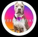Logo of ADOPTABLEJAX