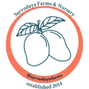 Logo of SARVODAYA INSTITUTE INC