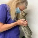 Logo of WILLAMETTE ANIMAL GUILD