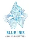 Logo of BlueIris