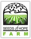 Logo of COMMUNITY ACTION AGENCY OF ST LOUIS COUNTY INC