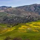 Logo of Sedgwick Reserve, University of California Santa Barbara