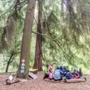 Logo of Fiddleheads Forest School