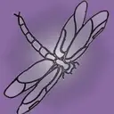 Logo of THE DRAGONFLY PROJECT