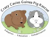 Logo of Crazy Cavies Guinea Pig Rescue