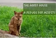 Logo of HOOFF HOUSE RESCUE AND SANCTUARY INC