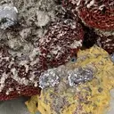 Logo of VENICE BEACH OCEANARIUM