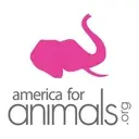 Logo of America for Animals
