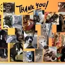 Logo of G&Cs Advocacy and Rescue Corporation