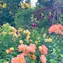 Logo of HIGHLINE BOTANICAL GARDEN FOUNDATION