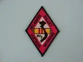 Logo of Delaware Valley Vietnam Veterans