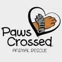 Logo of PAWS CROSSED ANIMAL RESCUE INC