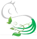 Logo of Infinite Insight Inc