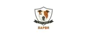 Logo of Born Again Pit Bull Rescue