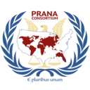 Logo of PERMANENT RESIDENTS AND NATURALIZED AMERICAN CONSORTIUM, INC