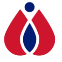 Logo of CHILDRENS LEUKEMIA RESEARCH ASSOCIATION INC