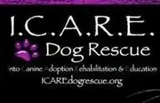 Logo of I.C.A.R.E. Dog Rescue