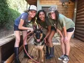 Logo of El Dorado County German Shepherd Rescue