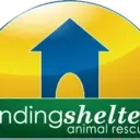 Logo of FINDING SHELTER INC