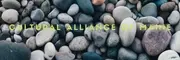 Logo de Cultural Alliance of Maine