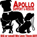 Logo of APOLLO SUPPORT & RESCUE INC