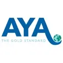 Logo of Academic Year in America