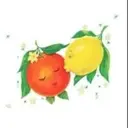 Logo of LGO Hospitality