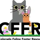 Logo of COLORADO FELINE FOSTER RESCUE