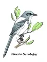 Logo of FLAGLER AUDUBON SOCIETY