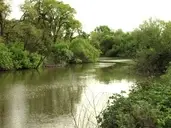 Logo de Laguna de Santa Rosa Foundation