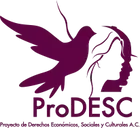 Logo of Proyecto de Derechos Económicos, Sociales y Culturales, A.C.