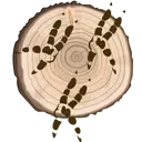 Logo of TIDEWATER REHABILITATION & ENVIRONMENTAL EDUCATION