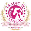 Logo de Tragic To Magic