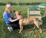 Logo of St Hubert's Animal  Welfare Center